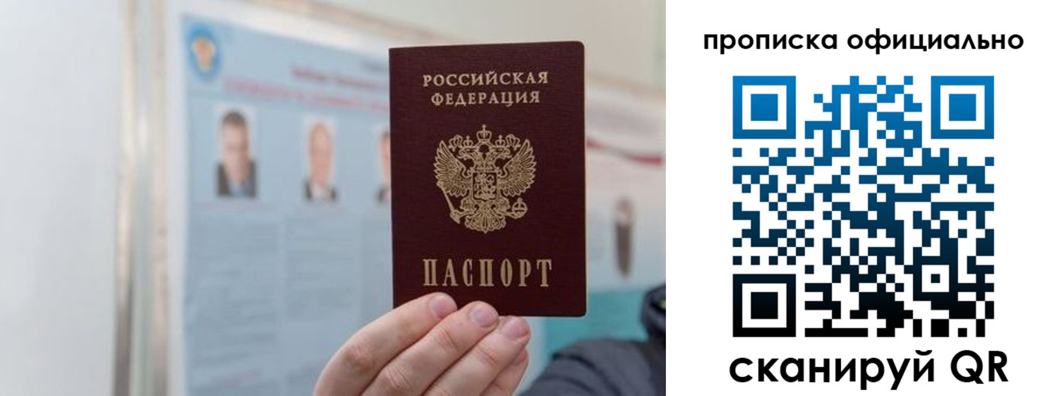 прописка гарантия в Звенигово
